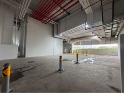 Ct Foodnex (D25), Factory #522256851